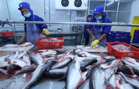 China expected to remain largest export market for Vietnamese pangasius in 2022